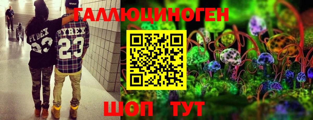 Арзамас  Галлюциногенные грибы мицелий  Вход с VPN 