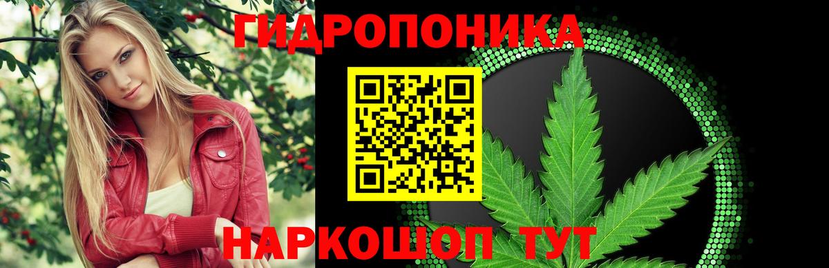 Каннабис индика Арзамас